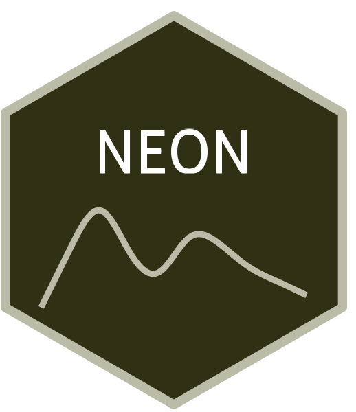 NEON logo